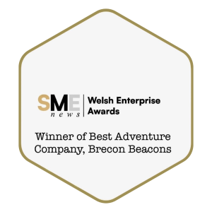 welsh enterprise award winner badge 2025
